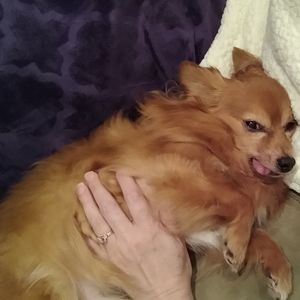 Meet your Posher, Mark